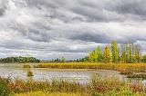 The Swale_28163